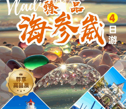 臻品 海參崴四日游